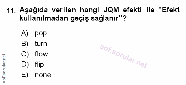Soru 11