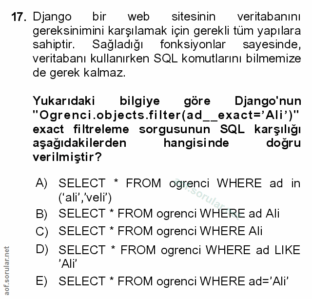Soru 17