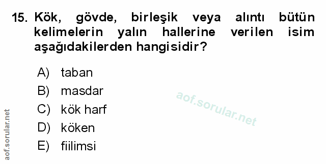 Soru 15