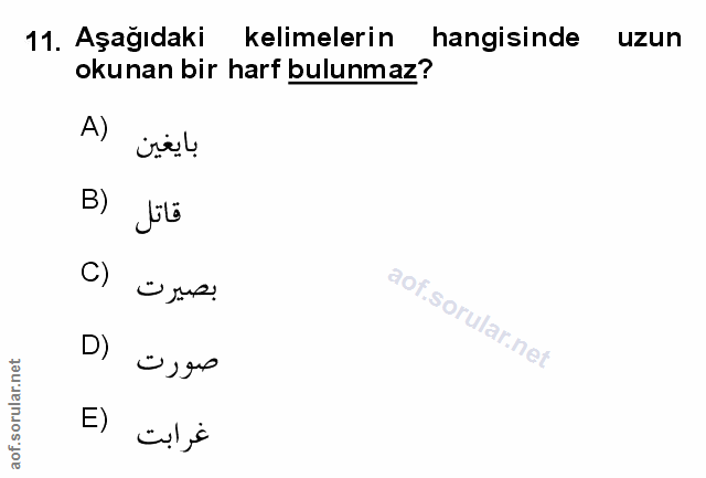 Soru 11