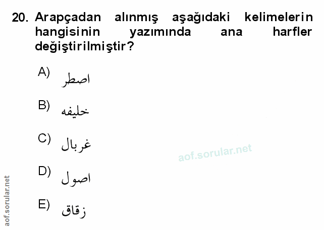Soru 20