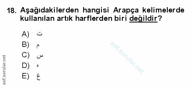 Soru 18