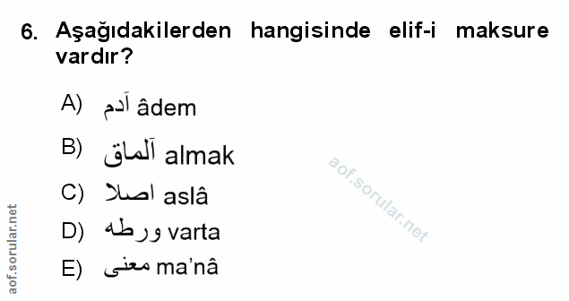 Soru 6