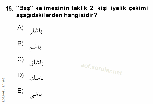 Soru 16