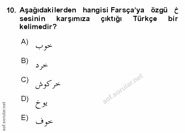 Soru 10