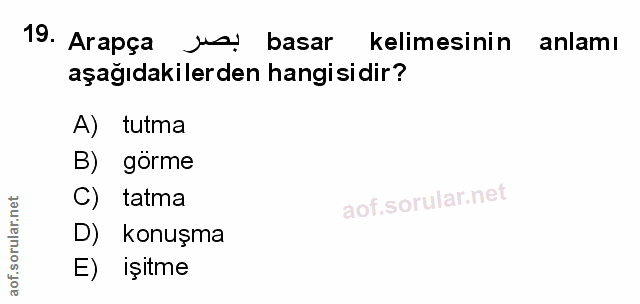 Soru 19