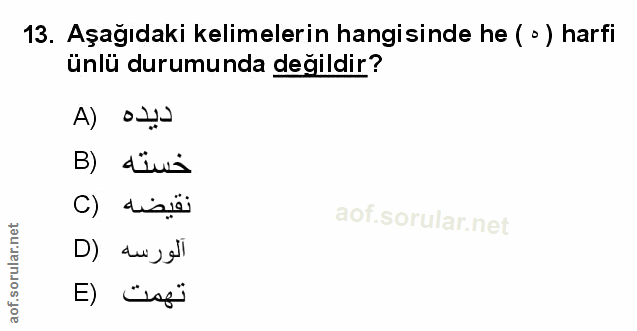 Soru 13