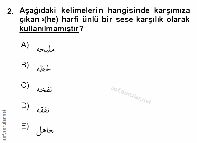Soru 2