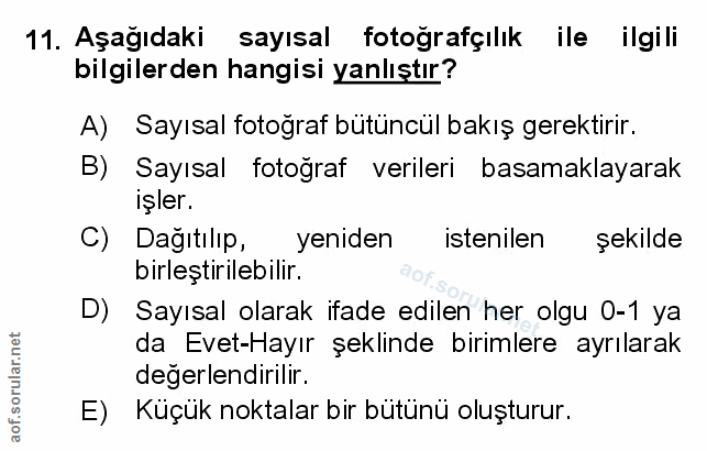 Soru 11