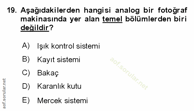 Soru 19