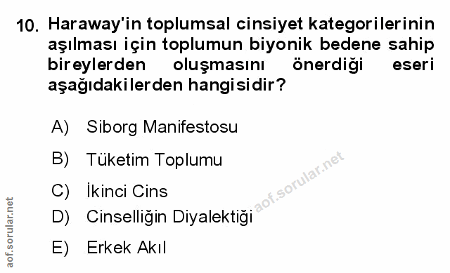 Soru 10