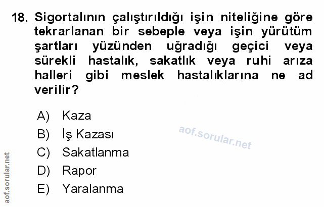 Soru 18