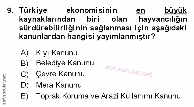 Soru 9