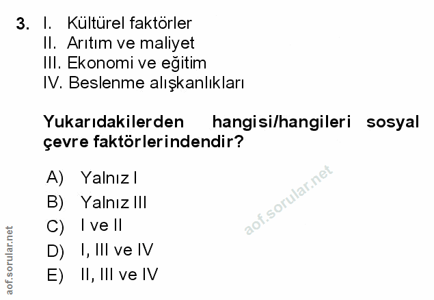 Soru 3