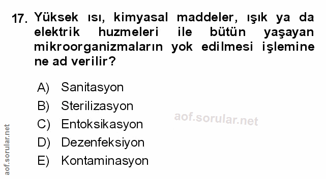Soru 17