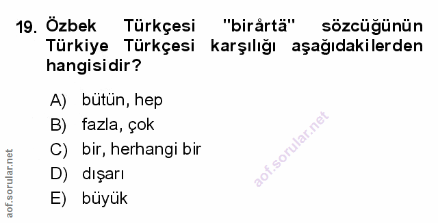 Soru 19