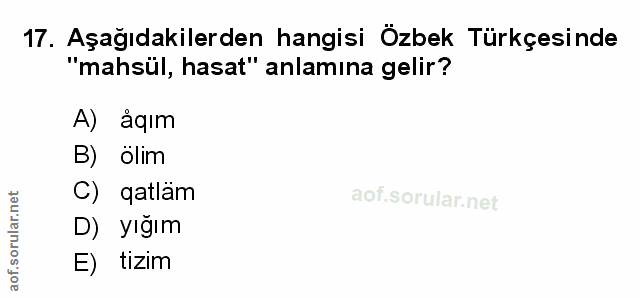 Soru 17