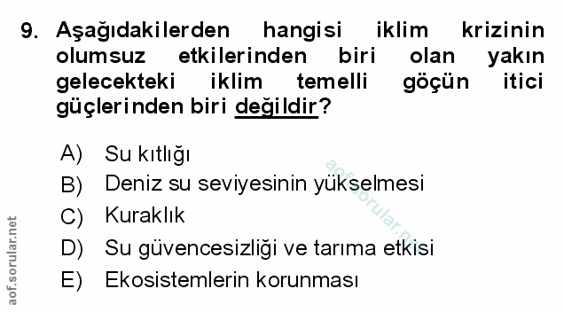 Soru 9