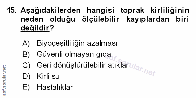 Soru 15