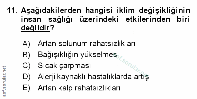 Soru 11