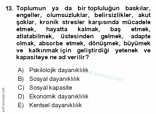 Soru 13