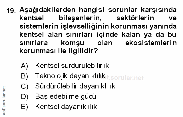 Soru 19
