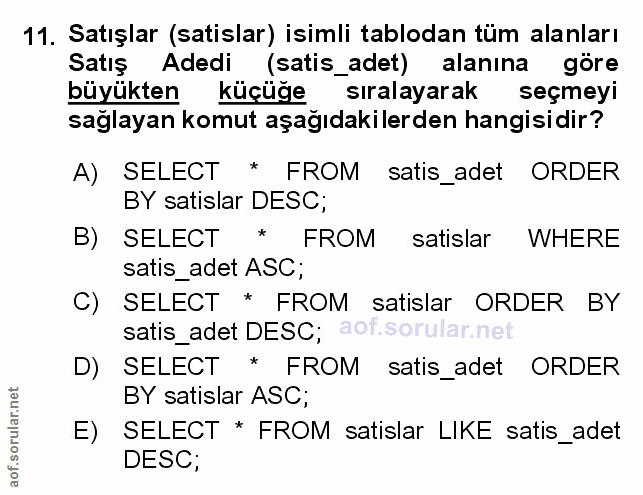 Soru 11