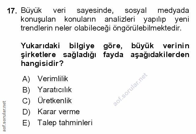 Soru 17