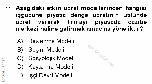 Soru 11