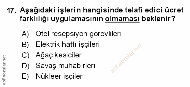 Soru 17