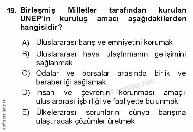 Soru 19