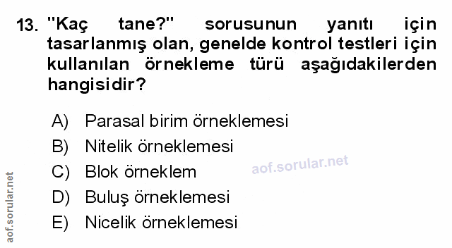 Soru 13