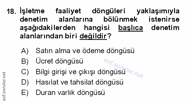 Soru 18