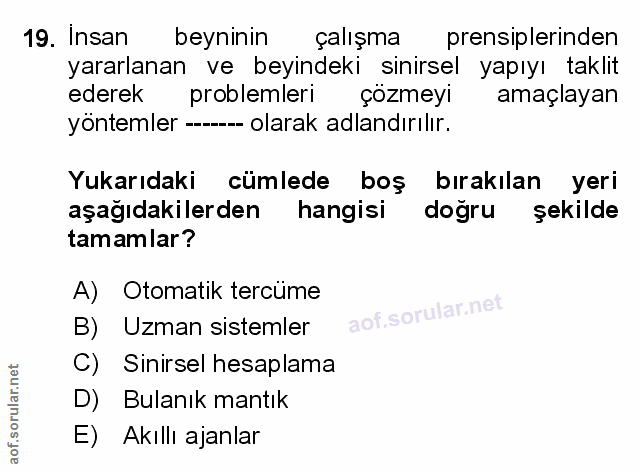 Soru 19