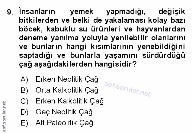 Soru 9