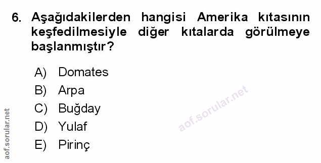 Soru 6