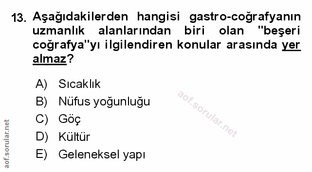 Soru 13