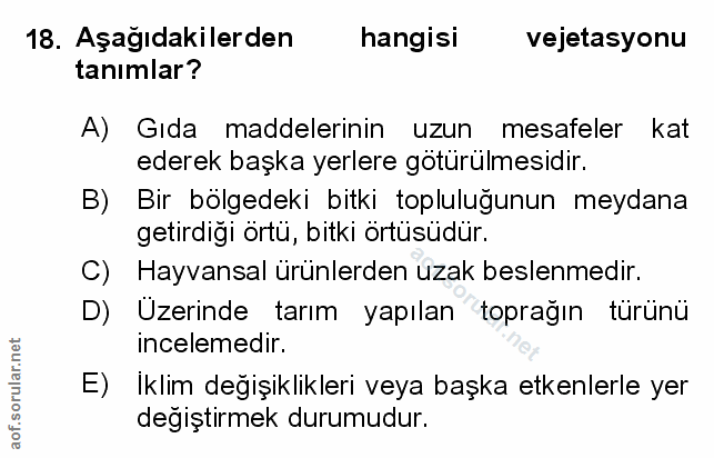 Soru 18