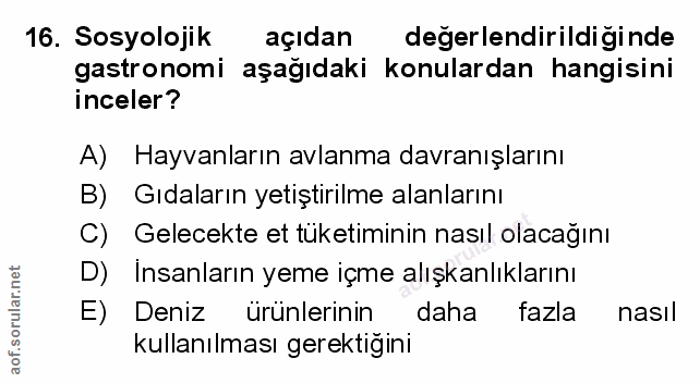 Soru 16