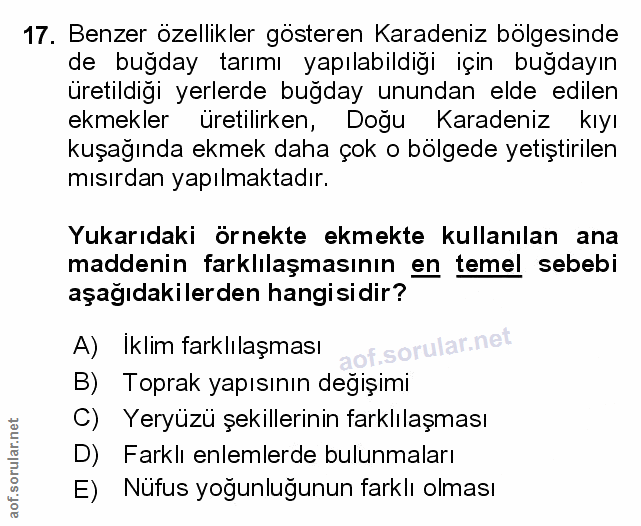 Soru 17