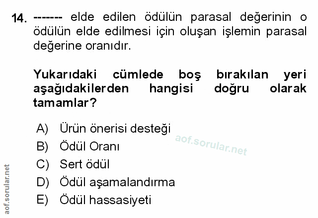 Soru 14