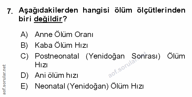 Soru 7