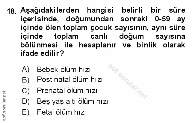 Soru 18