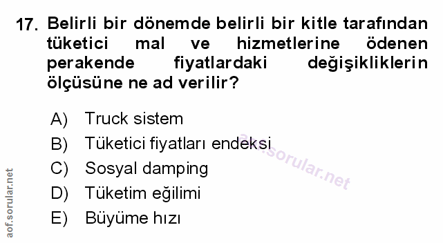Soru 17