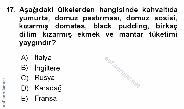 Soru 17