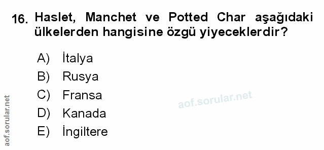 Soru 16