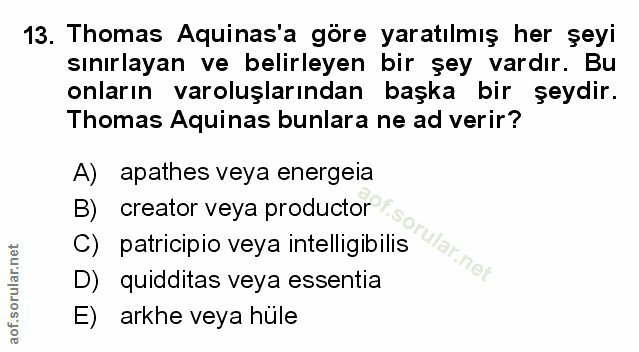 Soru 13