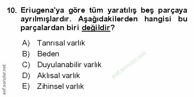 Soru 10