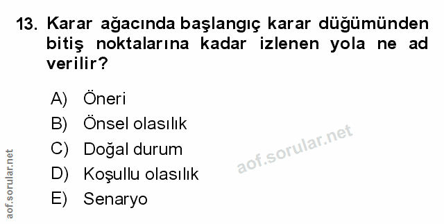 Soru 13
