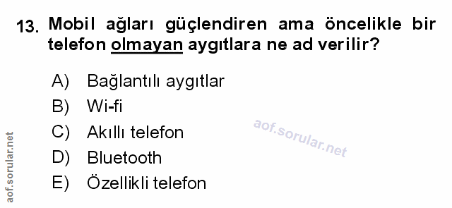 Soru 13